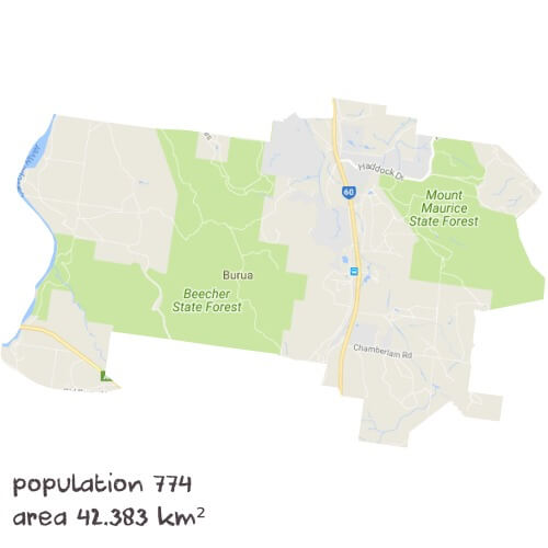 English Tutoring Near Me